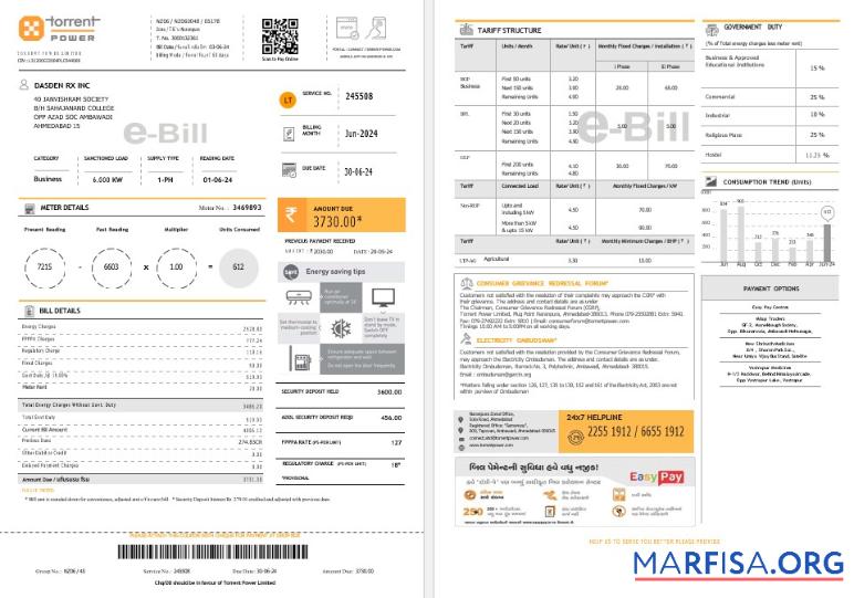 Printable INDIA TORRENT POWER business utility bill Word and PDF template